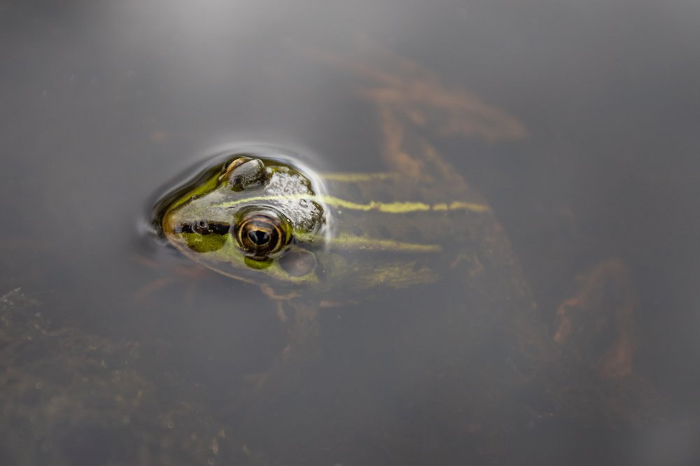 Photograph by Дмитрий Чудинин