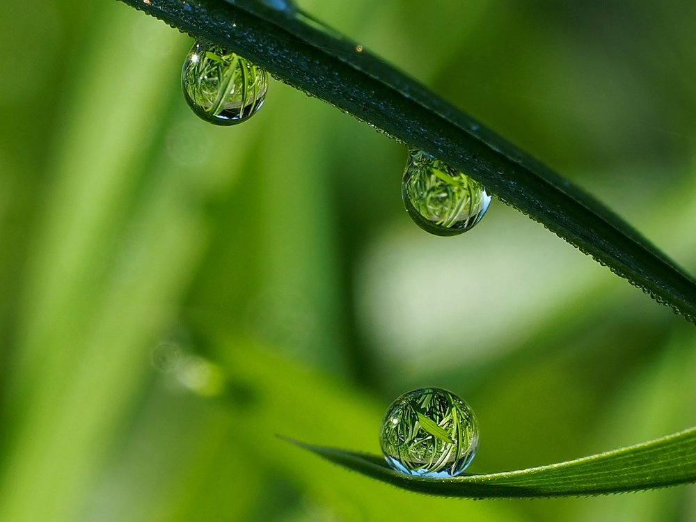 Капля к капле