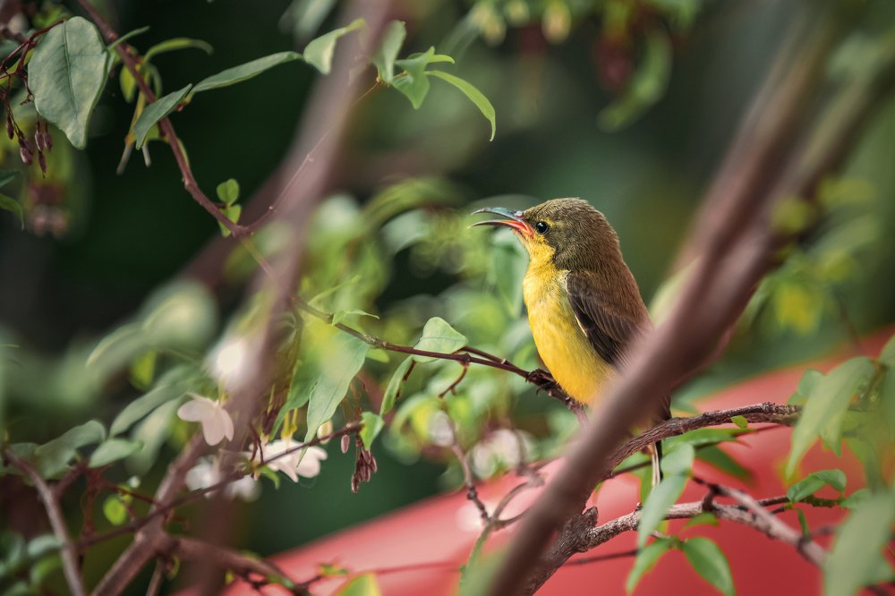 Photograph by Вадим Тихонов