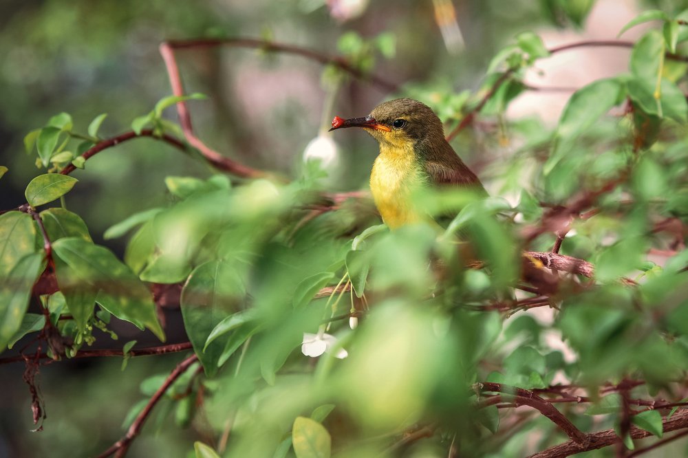 Photograph by Вадим Тихонов