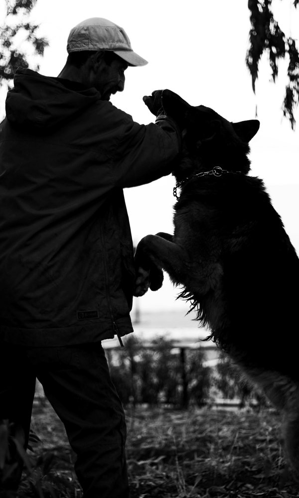 Photograph by manseur said