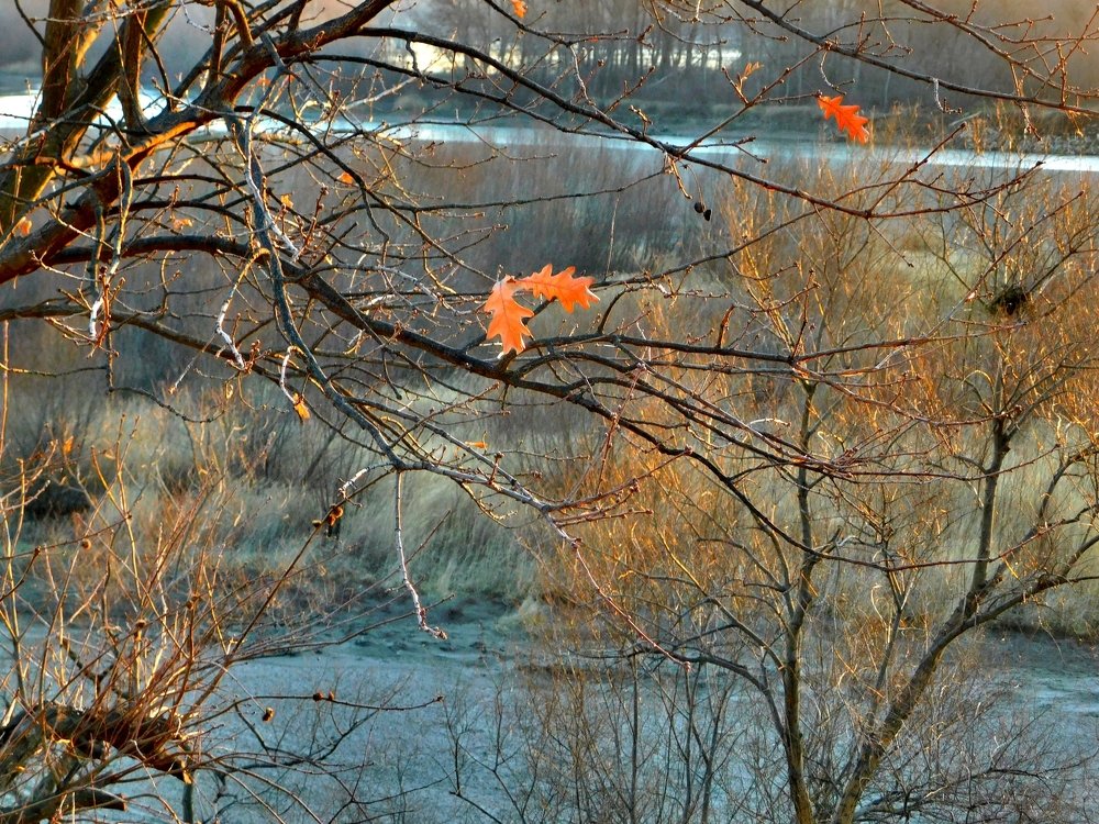 Photograph by Светлана Карпенко