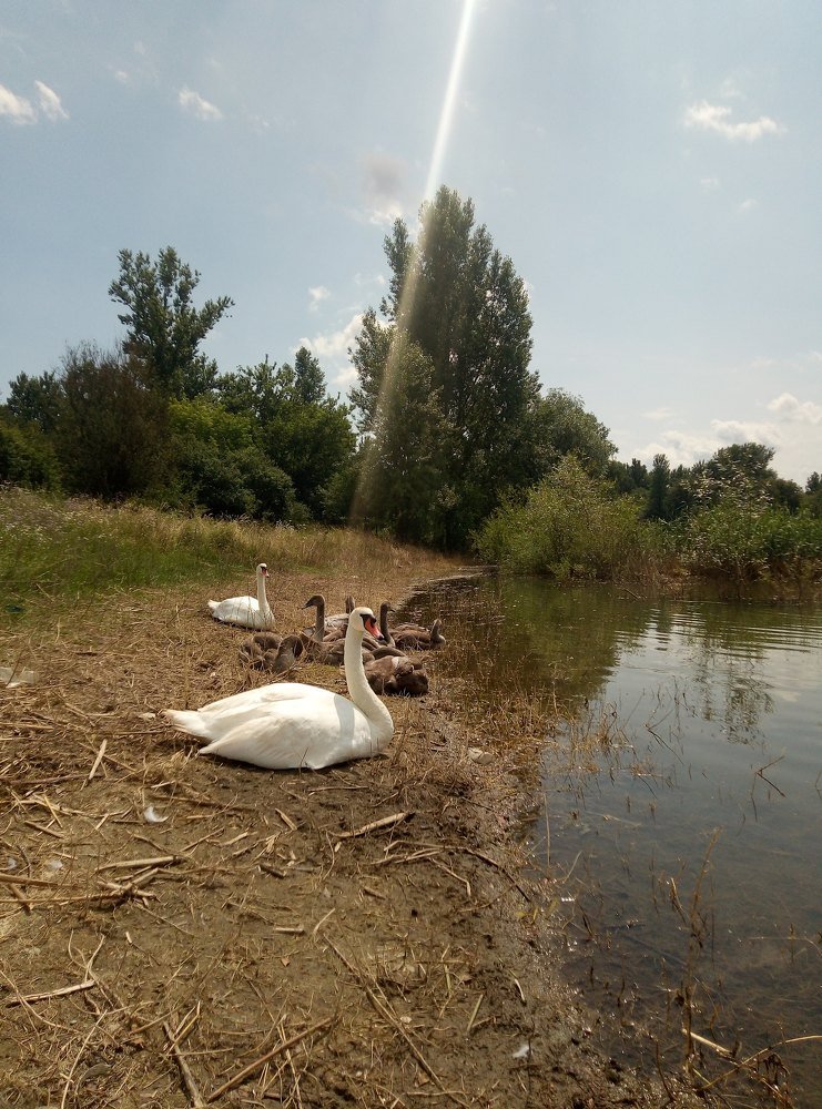 Photograph by Наталія Дронюк