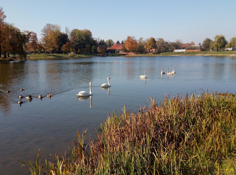 Photograph by Наталія Дронюк