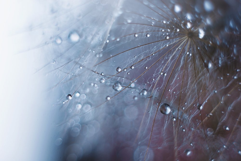 Фотография автора Наталья Ветошкина