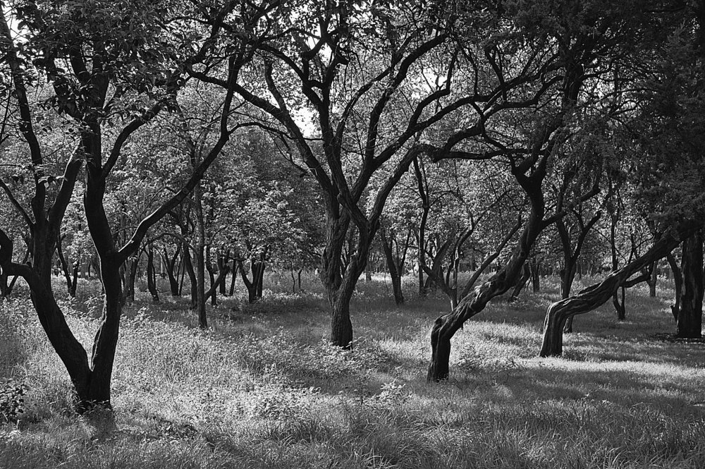 Photograph by Luis Javier Marina Corral