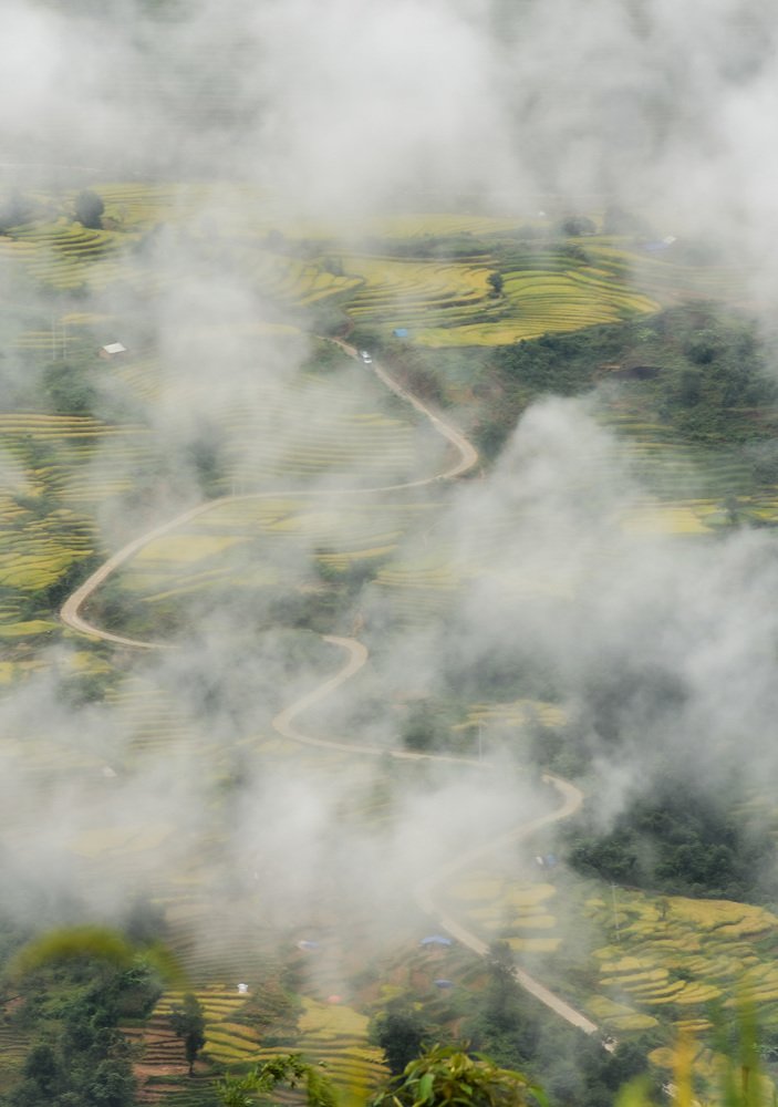 Photograph by Hai Quang