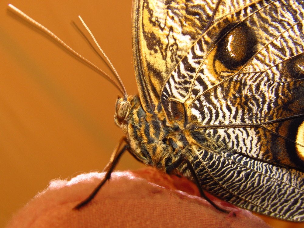 Photograph by Марина Савченко