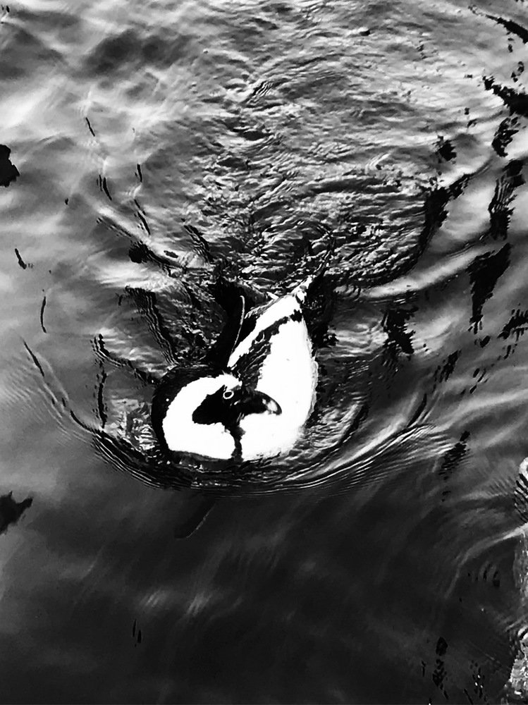 Photograph by Соня