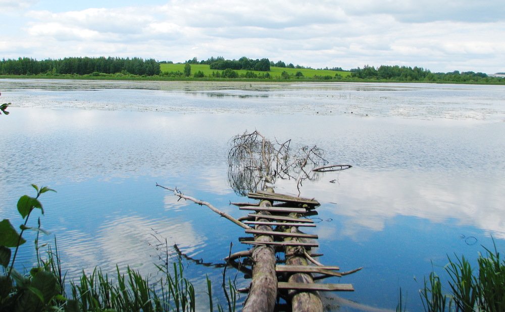 Photograph by Анатолий Бакулев