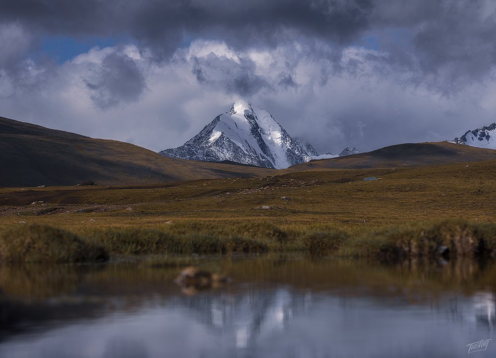 Photograph by Tushig Khishigtohgotkh