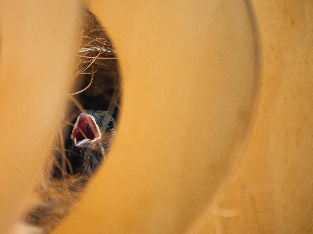 Photograph by Marcos Salgado