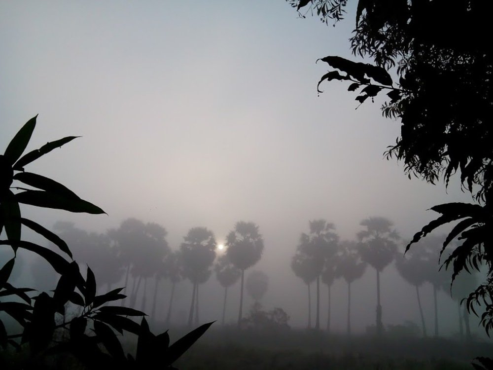 Photograph by zay yar