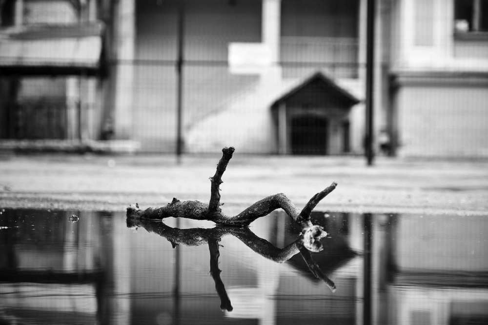 Photograph by Алексей Бойков