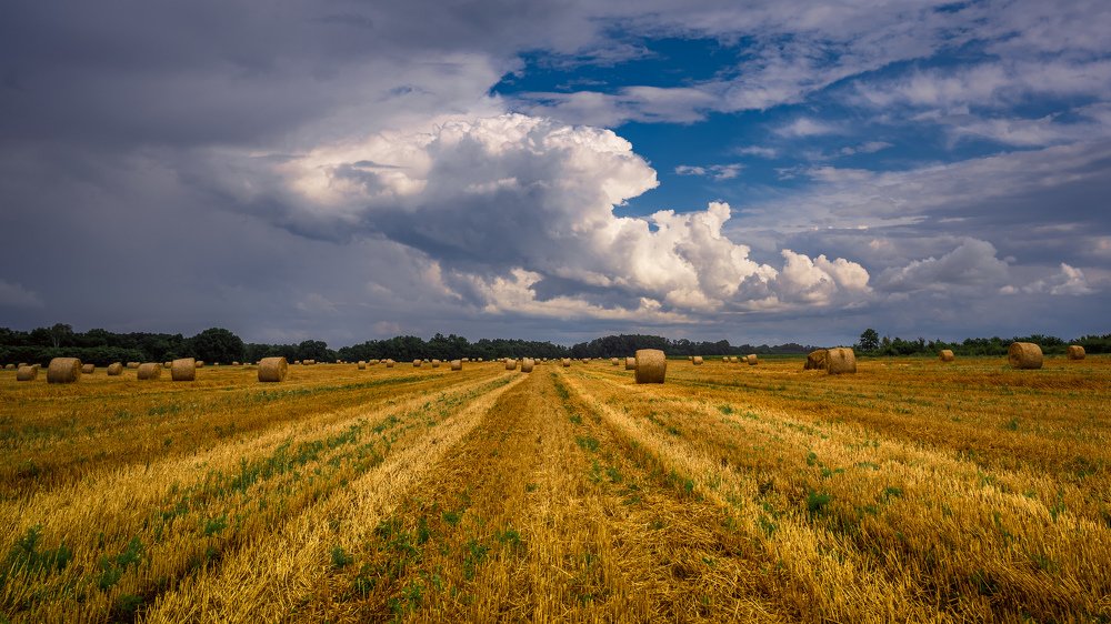Waiting for the storm