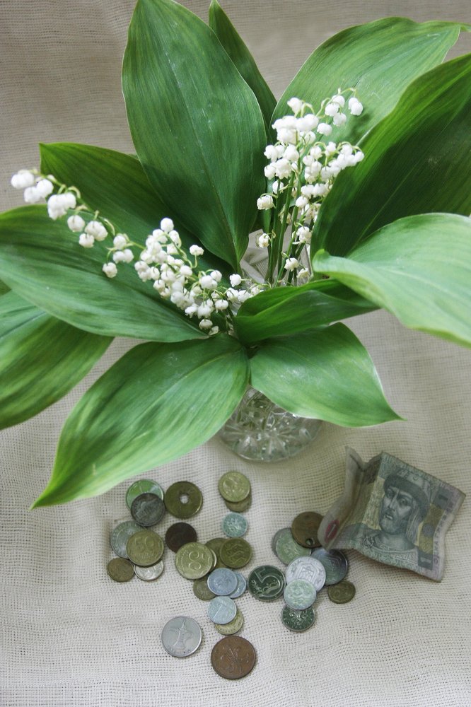 Photograph by Мария Самоловова