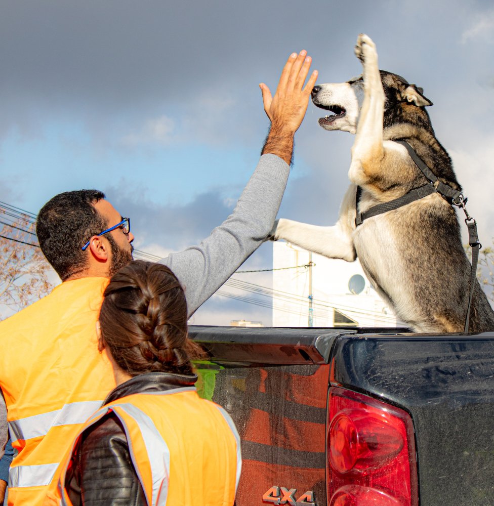 Photograph by Ali Abu Ras