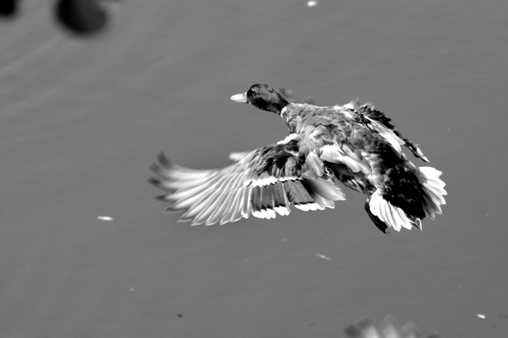 Photograph by Евгений Беленков