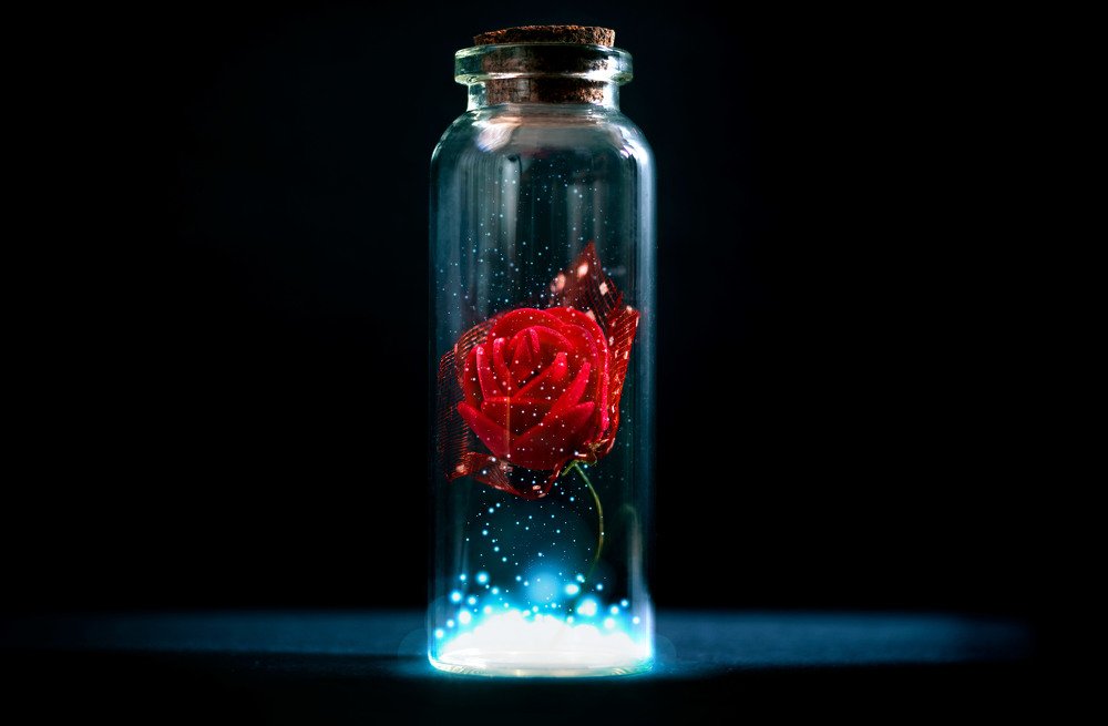 Photograph by Cinthya Mori