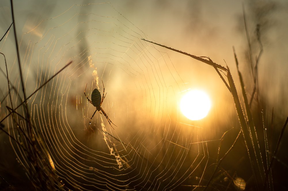 Photograph by Юрий Москалев