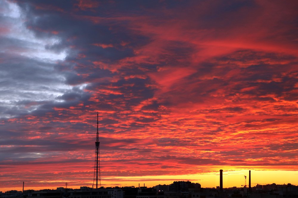 Photograph by Olga Oginskaya