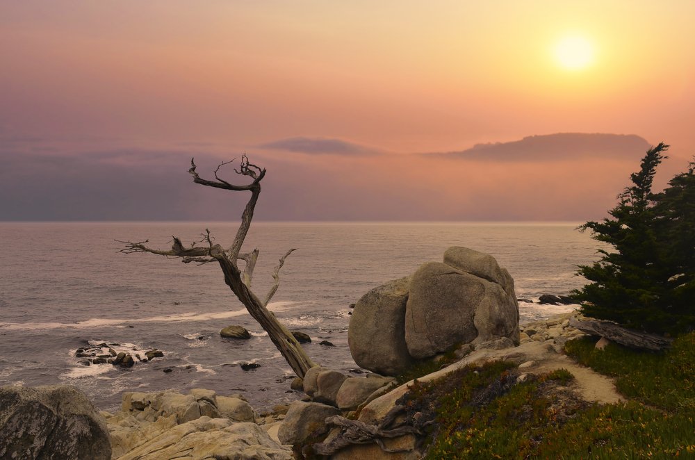 Photograph by Yana Rybakov