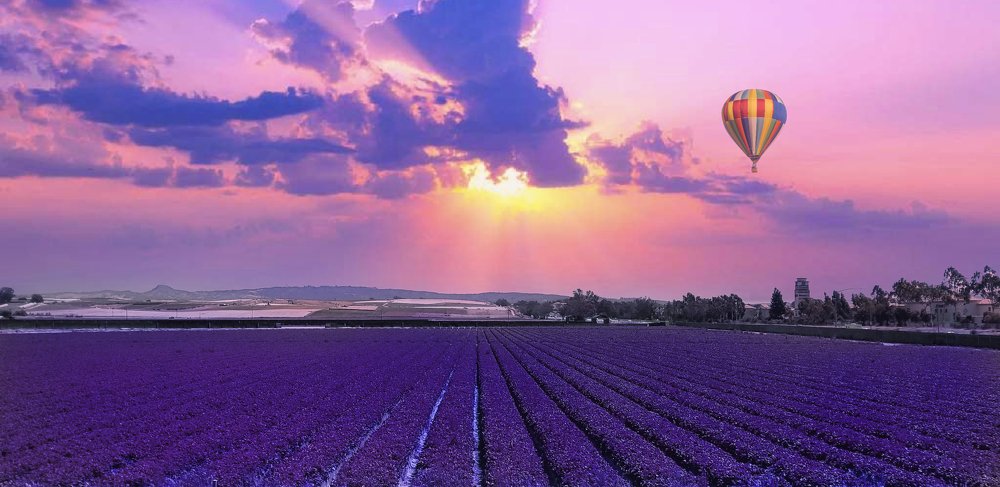 Photograph by Yana Rybakov