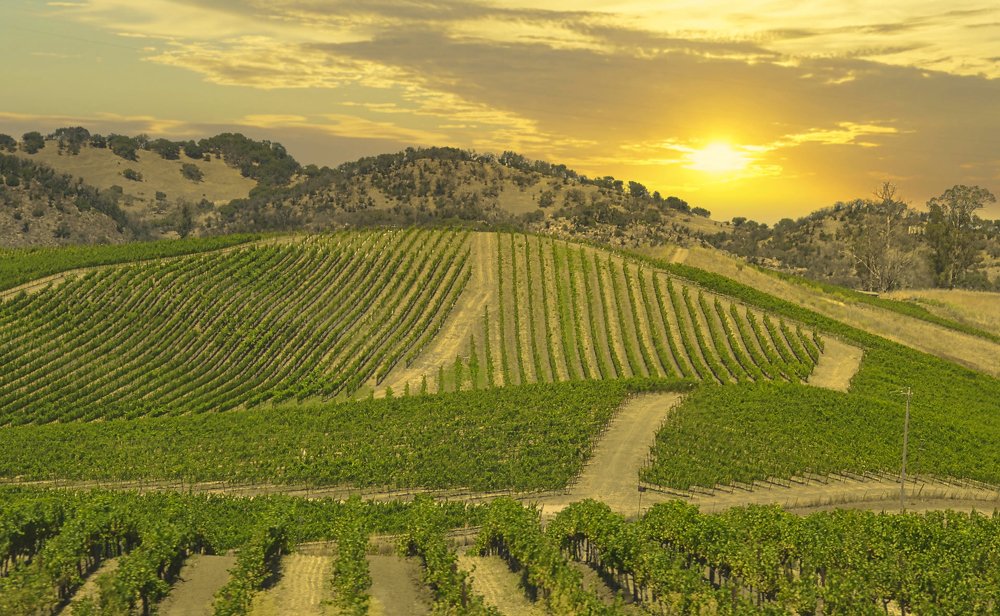 Photograph by Yana Rybakov