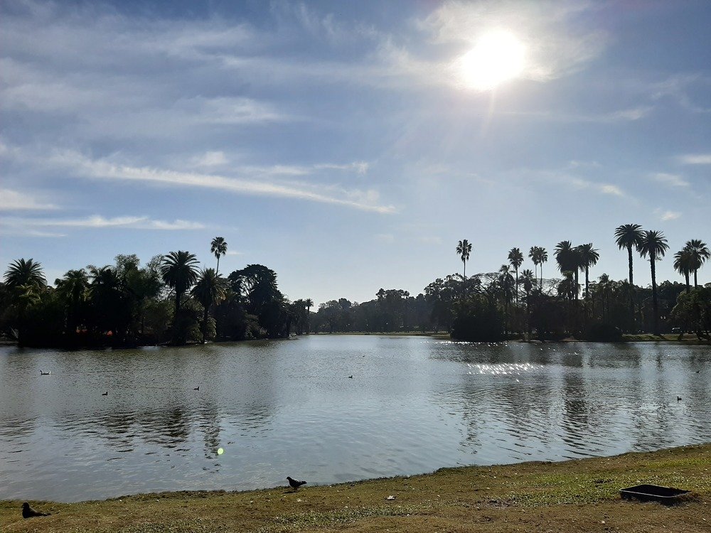 Photo #4885718