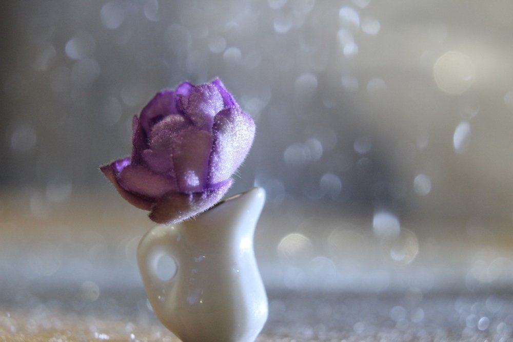 Photograph by Дарья Околова