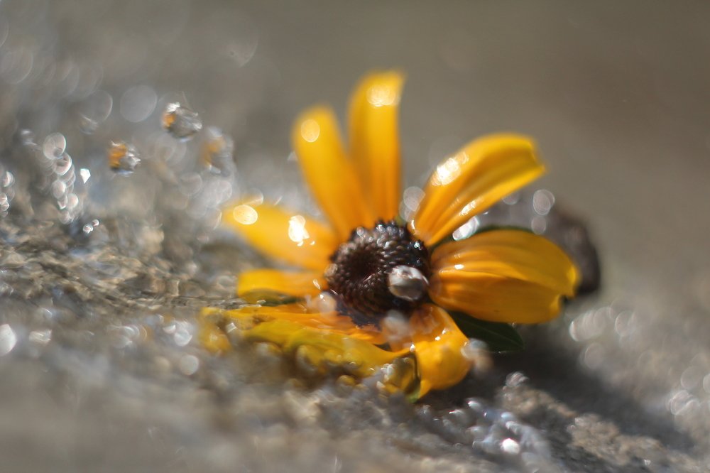 Photograph by Дарья Околова