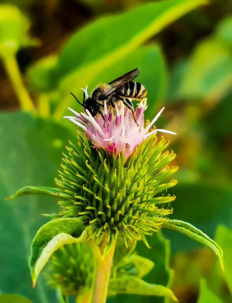 Photograph by Данил Батурин