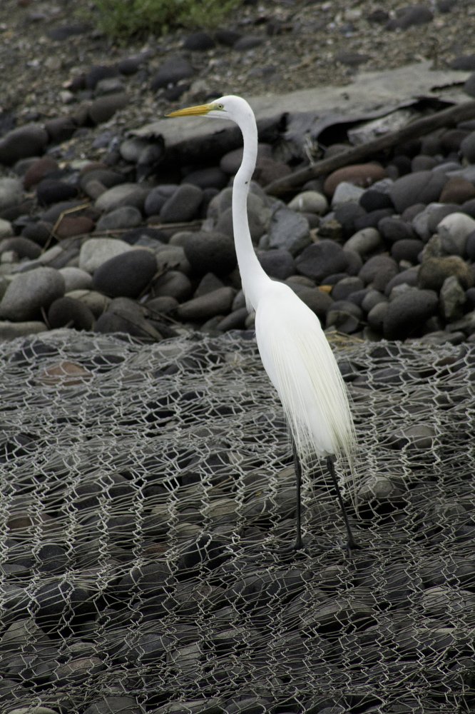 Photograph by Ricardo Canabal
