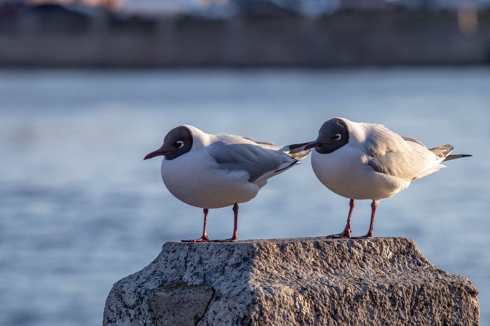 Photograph by Владислав Кучинский