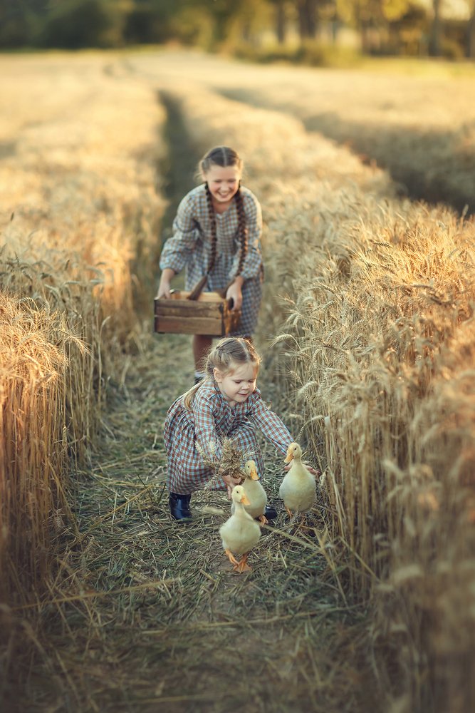 Photograph by Надежда Лисенкова