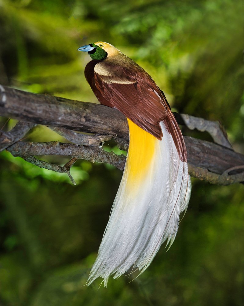 Photograph by Eka Novianto Nugroho