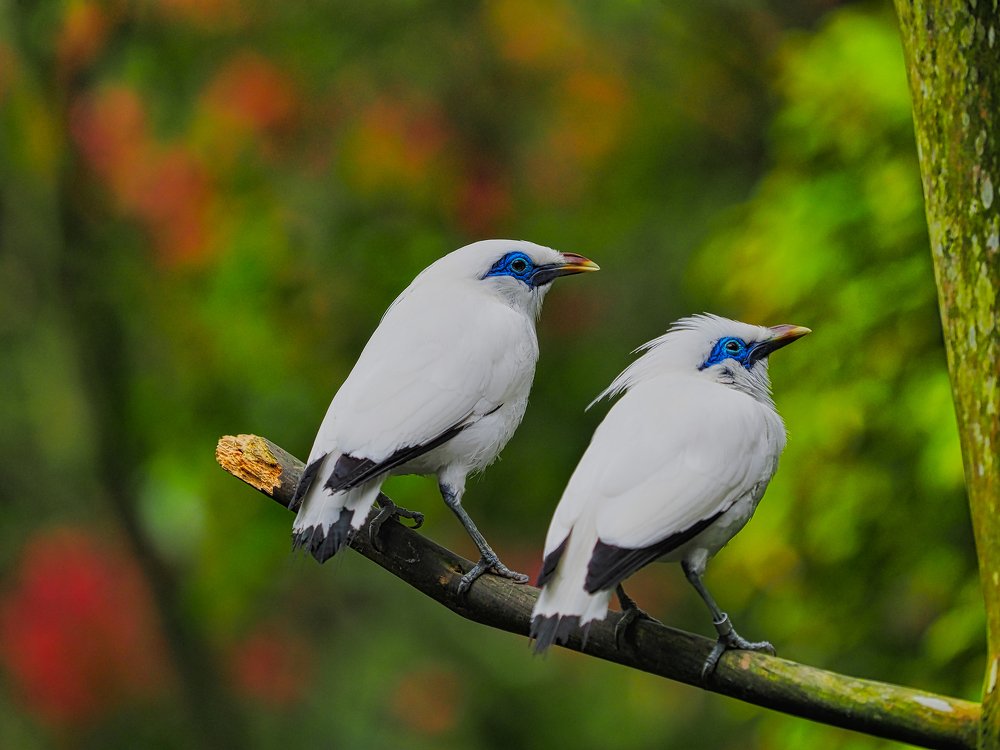 Photograph by Eka Novianto Nugroho