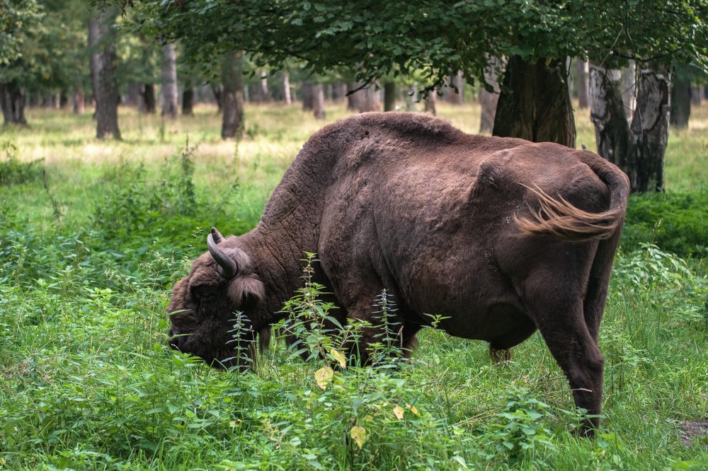 Photograph by Демьян Лопатов