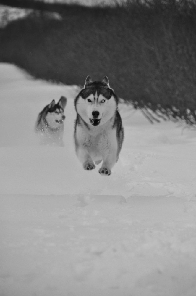 Photograph by Евгений Захаров
