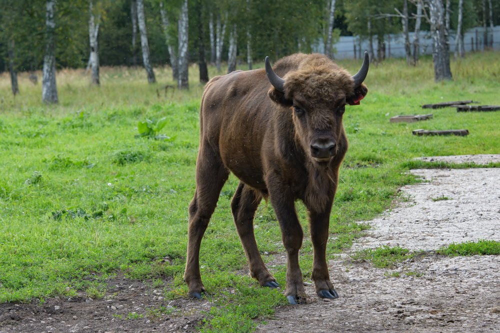Photograph by Демьян Лопатов