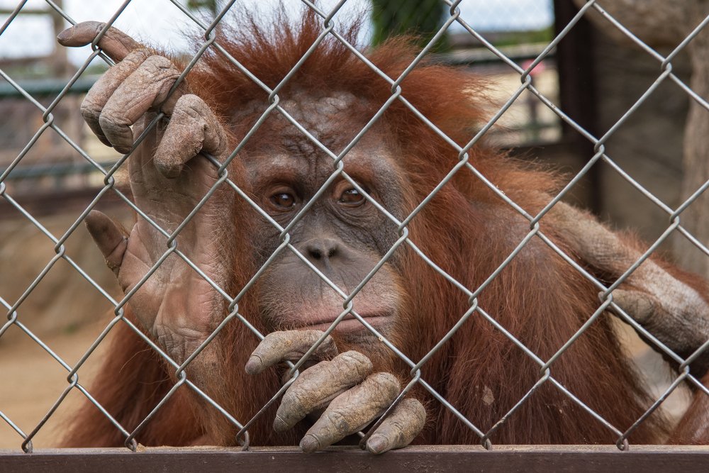 Photograph by Демьян Лопатов