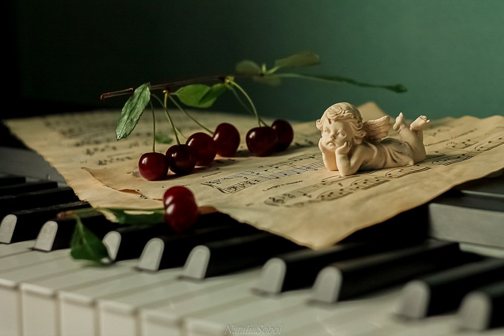 Вишневая рапсодия.