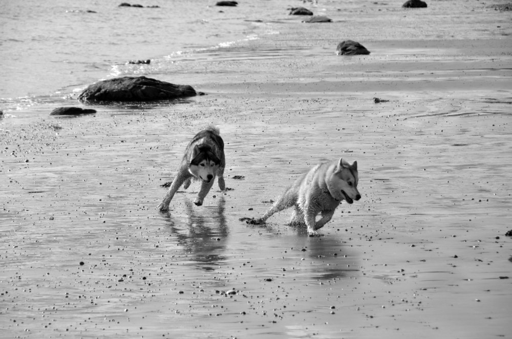 Photograph by Евгений Захаров