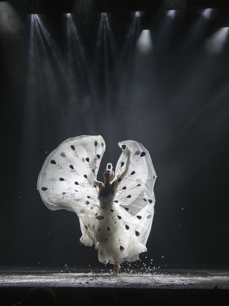 Фотография автора MARIAN PLAINO