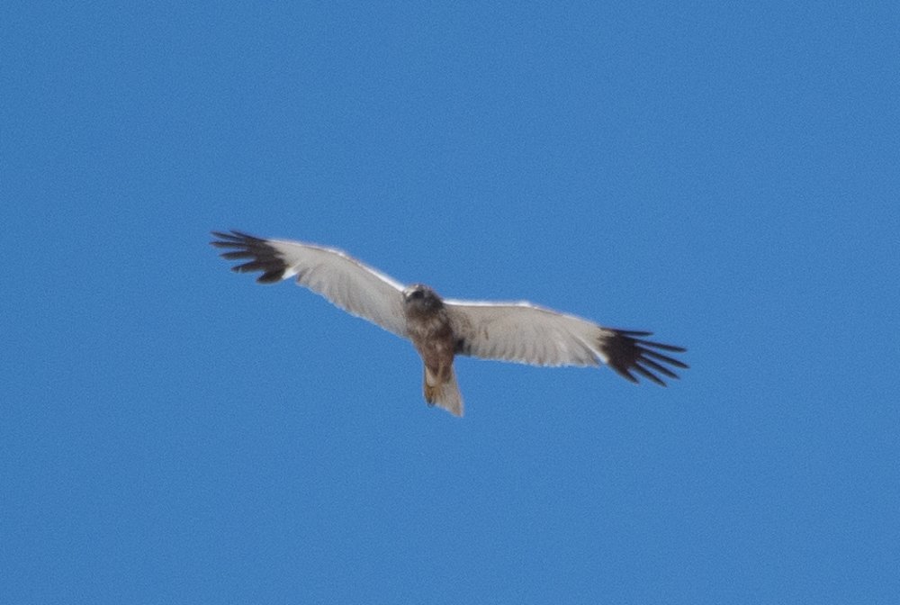 Photograph by advokatkijashko