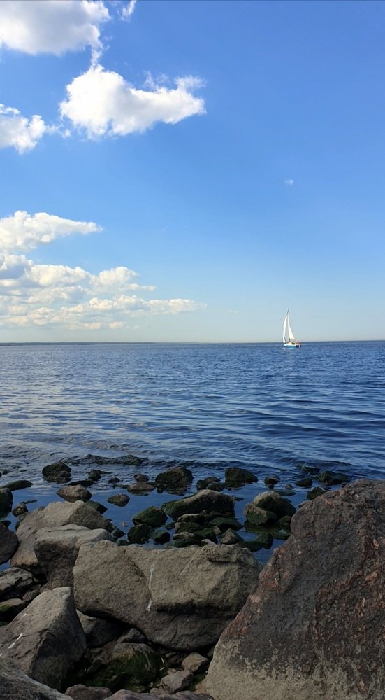 У Финского залива, Санкт-Петербург