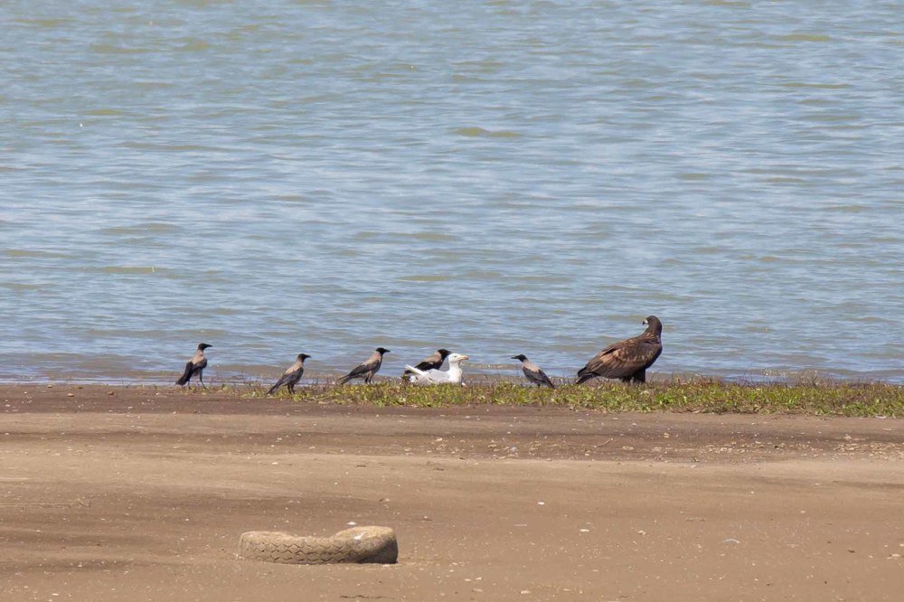 Photograph by Николай Абрамов