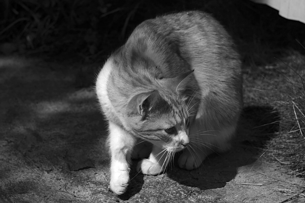 Photograph by Евгений Беленков