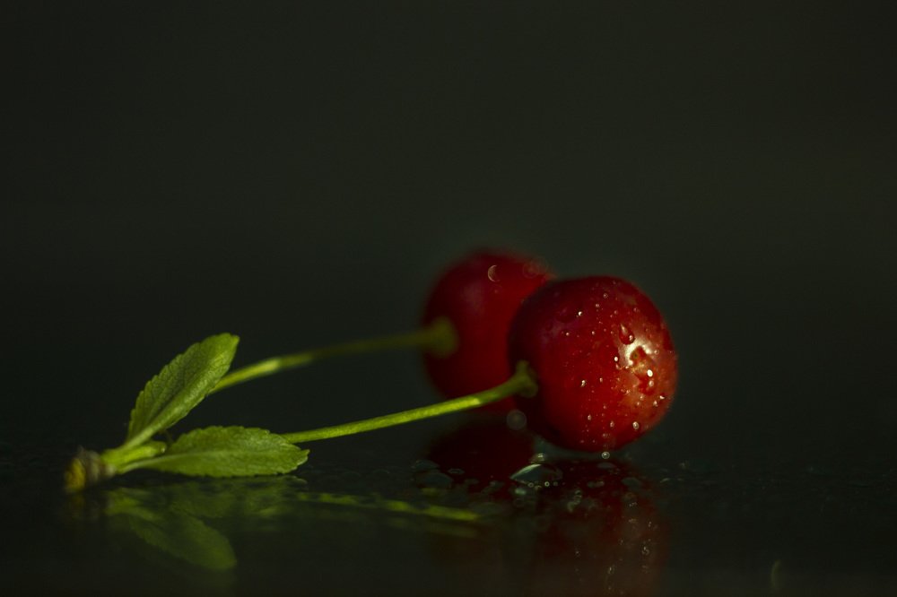 Photograph by Anna Gapanovich