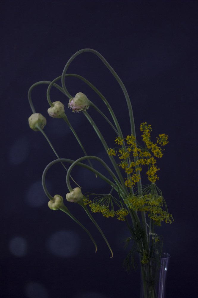 Photograph by Anna Gapanovich